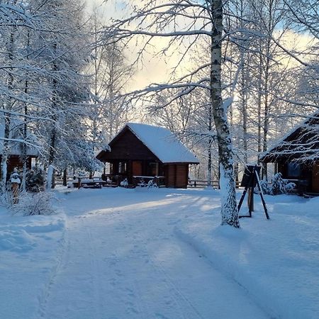 Eco-friendly Camping Oskalns Cēsis Eksteriør bilde