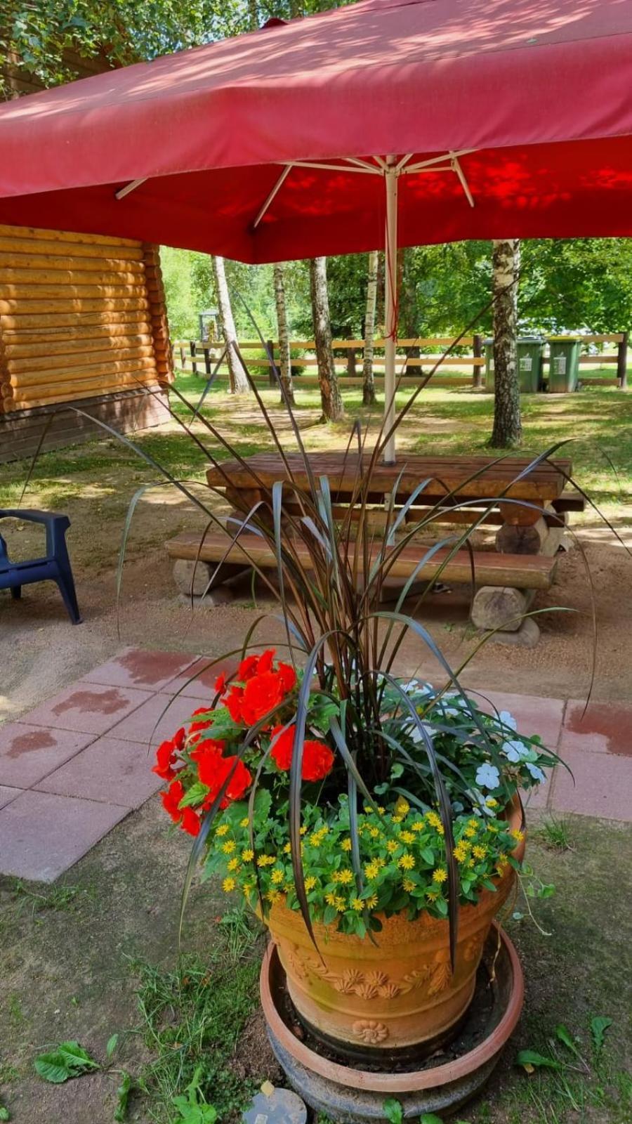 Eco-friendly Camping Oskalns Cēsis Eksteriør bilde